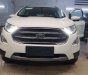 Ford EcoSport 1.5l AT Titanium  2018 - Bán ô tô Ford EcoSport 1.0l, 1.5l AT Titanium, 1.5L AT Trend, 1.5l AT Ambiente 1.5lMT Ambiente đời 2018, màu trắng