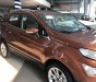 Ford EcoSport Titanium 1.0 EcoBoost 2018 - Bán xe Ford EcoSport Titanium 1.0 EcoBoost năm 2018, màu nâu 