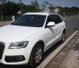 Audi Q5 2.0AT  2015 - Chính chủ bán Audi Q5 2.0AT sản xuất năm 2015, màu trắng, nhập khẩu