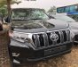 Toyota Land Cruiser Prado VX 2.7L 2017 - Bán Toyota Land Cruiser Prado VX 2.7L sản xuất 2017, màu đen, xe nhập