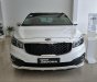 Kia VT250 2.2L DATH 2018 - Bán Kia Sedona 2.2L DATH đời 2018, màu trắng