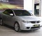 Kia Forte EX 1.6 MT 2013 - Bán Kia Forte EX 1.6 MT sản xuất 2013, màu bạc