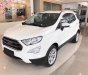 Ford EcoSport 1.5l AT Titanium  2018 - Bán ô tô Ford EcoSport 1.0l, 1.5l AT Titanium, 1.5L AT Trend, 1.5l AT Ambiente 1.5lMT Ambiente đời 2018, màu trắng