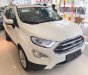 Ford EcoSport 1.5l AT Titanium  2018 - Bán ô tô Ford EcoSport 1.0l, 1.5l AT Titanium, 1.5L AT Trend, 1.5l AT Ambiente 1.5lMT Ambiente đời 2018, màu trắng