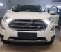 Ford EcoSport Titanium 1.0 EcoBoost 2018 - Bán xe Ford EcoSport Titanium 1.0 EcoBoost SX năm 2018, màu trắng