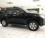 Toyota Prado   TXL   2013 - Bán xe Toyota Prado TXL đời 2013, màu đen, nhập khẩu