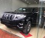 Toyota Prado VX 2018 - Cần bán xe Toyota Prado VX đời 2018, màu đen, nhập khẩu