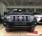 Toyota Prado VX 2018 - Cần bán xe Toyota Prado VX đời 2018, màu đen, nhập khẩu