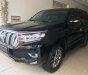 Toyota Prado VX 2.7L 2018 - Bán ô tô Toyota Prado VX 2.7L năm sản xuất 2018, màu đen, nhập khẩu nguyên chiếc