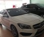 Mercedes-Benz CLA class CLA 45AMG 2015 - Bán Mercedes CLA 45AMG sản xuất 2015, màu trắng