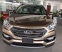 Hyundai Santa Fe 2018 - Bán xe Hyundai Santa Fe đời 2018, màu nâu, xe nhập