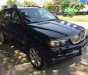 BMW X5 2003 - Bán ô tô BMW X5 đời 2003, màu đen, nhập khẩu, 295 triệu