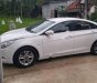 Hyundai Sonata Y20 2.0 AT 2010 - Bán xe Hyundai Sonata Y20 2.0 AT 2010, màu trắng, nhập khẩu 