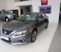 Nissan Teana 2.5SL  2017 - Bán Nissan Teana 2.5SL năm 2017, màu xám (ghi), nhập khẩu nguyên chiếc