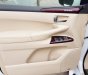 Lexus LX 570 2010 - Bán Lexus LX570 sản xuất 2010, đăng ký 2011 tên công ty