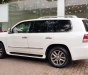 Lexus LX 570 2010 - Bán Lexus LX570 sản xuất 2010, đăng ký 2011 tên công ty