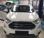 Ford EcoSport 1.5L Trend 2018 - Xe Ford EcoSport 1.5L Trend 2018 giá tốt nhất hiện nay liên hệ ngay với chúng tôi 093.309.1713 Hoài Ford