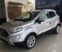 Ford EcoSport Titanium 1.5L AT 2018 - Bán Ford EcoSport Titanium 1.5L AT 2018, màu bạc 