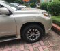 Lexus GX 460 2015 - Chính chủ bán Lexus GX 460 đời 2015, màu vàng, xe nhập