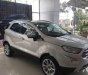 Ford EcoSport Titanium 1.5L AT 2018 - Bán Ford EcoSport Titanium 1.5L AT 2018, màu bạc 