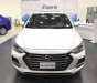 Hyundai Elantra  SPORT 1.6   2018 - Bán xe Hyundai Elantra SPORT 1.6 năm sản xuất 2018, màu trắng 