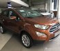 Ford EcoSport   2018 - Bán Ford EcoSport 2018, màu nâu