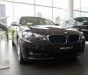 BMW 3 Series 320i GT 2017 - Bán xe BMW 3 Series 320i GT sản xuất 2017, màu nâu, nhập khẩu