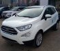 Ford EcoSport Ambiente 1.5L MT 2018 - Bán xe EcoSport 2018 giá tốt, hỗ trợ vay 90%, tặng bảo hiểm 2 chiều + camera hành trình