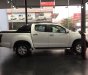 Isuzu Dmax  LS 2.5MT 2017 - Cần bán xe Isuzu Dmax LS đời 2017, màu trắng, nhập khẩu nguyên chiếc