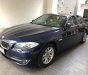 BMW 5 Series 523 2010 - Bán BMW 523 xanh đen, xe nhà chạy kĩ chưa được 50.000 km, giá 980tr. Biển số 51A