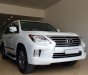 Lexus LX 570 2013 - Bán Lexus LX570 sản xuất 2013, đăng ký lần đầu năm 2015, tên công ty, xe xuất Mỹ