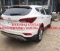 Hyundai Santa Fe 2018 - Bán xe Hyundai Santa Fe đời 2018, màu trắng, nhập khẩu chính hãng, giá chỉ 898 triệu