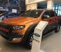 Ford Ranger 2018 - Cần bán Ford Ranger đời 2018, nhập khẩu, 925 triệu