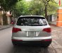 Audi Q7 3.6 FSI quattro 2009 - bán xe Audi Q7 2009 số tự động màu bạc nhập khẩu