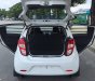 Chevrolet Spark 2018 - Bán ô tô Chevrolet Spark tải van đời 2018, màu trắng, giá 260tr