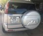 Ford Everest    2010 - Bán xe Ford Everest năm 2010, màu xám  