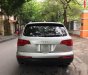 Audi Q7     2009 - Chính chủ bán Audi Q7 sản xuất năm 2009, màu bạc, nhập khẩu