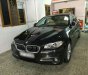 BMW 5 Series 520i 2016 - Cần bán gấp BMW 5 Series 520i sản xuất 2016, màu đen nhập khẩu nguyên chiếc