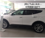 Hyundai Santa Fe 2017 - Giảm nóng 200 triệu - Hyundai Santa Fe bản full 2017 - Giao xe ngay