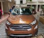 Ford EcoSport Titanium 1.5L AT 2018 - Bán ô tô Ford EcoSport 2018, màu nâu, giá 648tr