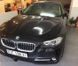 BMW 5 Series  520i   2016 - Bán BMW 5 Series 520i năm sản xuất 2016, màu đen, xe nhập 
