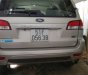 Ford Escape 2010 - Gia đình bán Ford Escape 2010, màu bạc