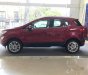 Ford EcoSport    2018 - Bán Ford EcoSport năm sản xuất 2018