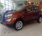 Ford EcoSport    2018 - Bán xe Ford EcoSport sản xuất 2018 