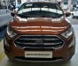 Ford EcoSport Titanium 2018 - Ford Ecosport Titanium 1.5 2018 hoàn toàn mới