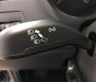 Volkswagen Polo 1.6L PDI   2017 - Cần bán Volkswagen Polo 1.6L PDI đời 2017, xe nhập