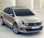 Volkswagen Polo 1.6L PDI   2017 - Bán Volkswagen Polo 1.6L PDI đời 2017, màu nâu, nhập khẩu chính hãng, giá 699tr