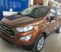 Ford EcoSport 1.0 AT 2018 - Cần bán Ford EcoSport 1.0 AT đời 2018, màu nâu