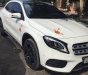 Mercedes-Benz CLA class GLA 250  4Matic 2017 - Bán ô tô Mercedes GLA 250  4Matic đời 2017, màu trắng như mới