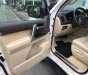 Toyota Land Cruiser VX 4.6 V8 2016 - Cần bán gấp Toyota Land Cruiser VX 4.6 V8 sản xuất 2016, màu trắng, xe nhập